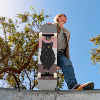 Colorful stripes,black cat drawing skateboard