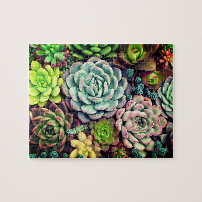 Colorful Succulent arrangement garden Jigsaw Puzzle (Horizontal)