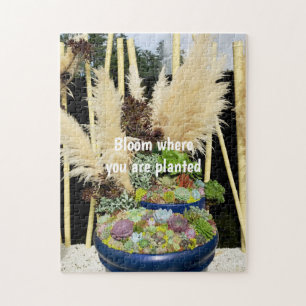 Colorful Succulents with Silver Grass Jigsaw Puzzle