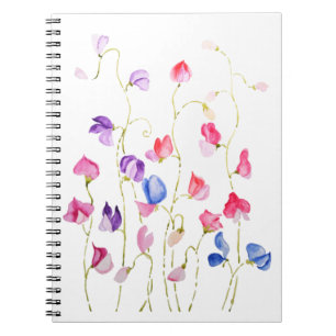 colorful sweet peas flowers watercolor notebook