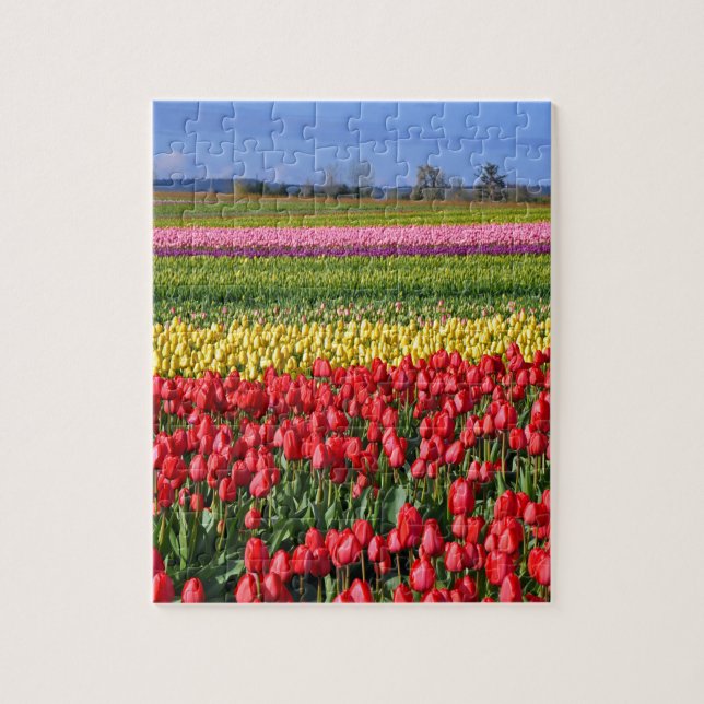 Colorful tulip field jigsaw puzzle (Vertical)