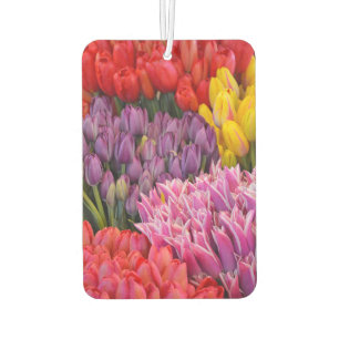 Colorful tulips air freshener
