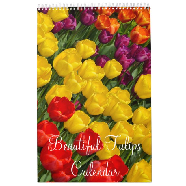 Colorful tulips calendar (Cover)