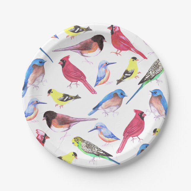 Colorful watercolor birds in multicolor paper plate (Front)