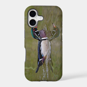 Colorful wood duck