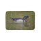 Colorful wood duck