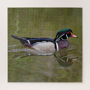 Colorful wood duck jigsaw puzzle