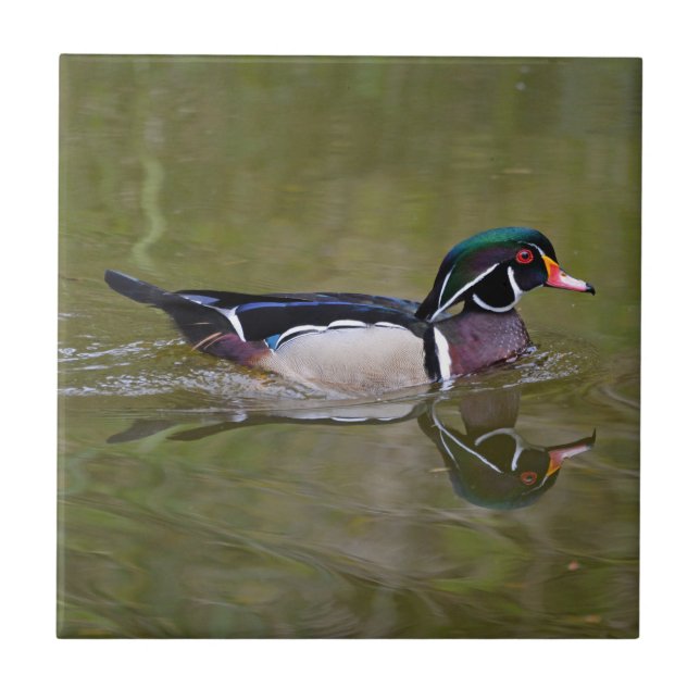 Colorful wood duck tile (Front)