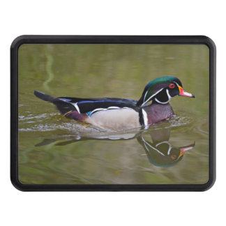 Colorful wood duck trailer hitch cover