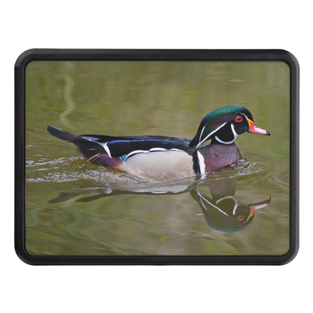 Colorful wood duck trailer hitch cover (Front)
