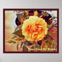 Colorful Yellow Rose