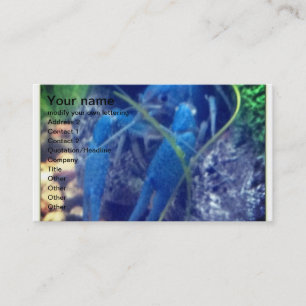 colorfull blue lobster business card