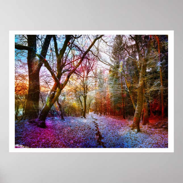 Colorized Forest Winter Landscape Poster (Front)
