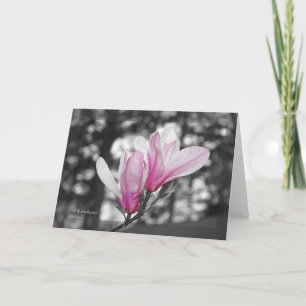 Colorized tulip magnolia card