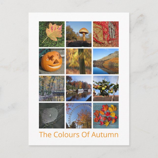 Colors Of Autumn Postcard (Front)