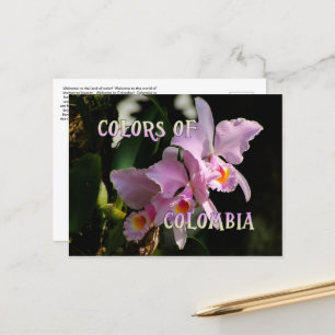 Colors of Colombia Cattleya Orchid Postcard
