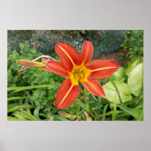 colors of summer poster