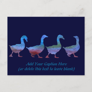 Colorwashed Geese Postcard