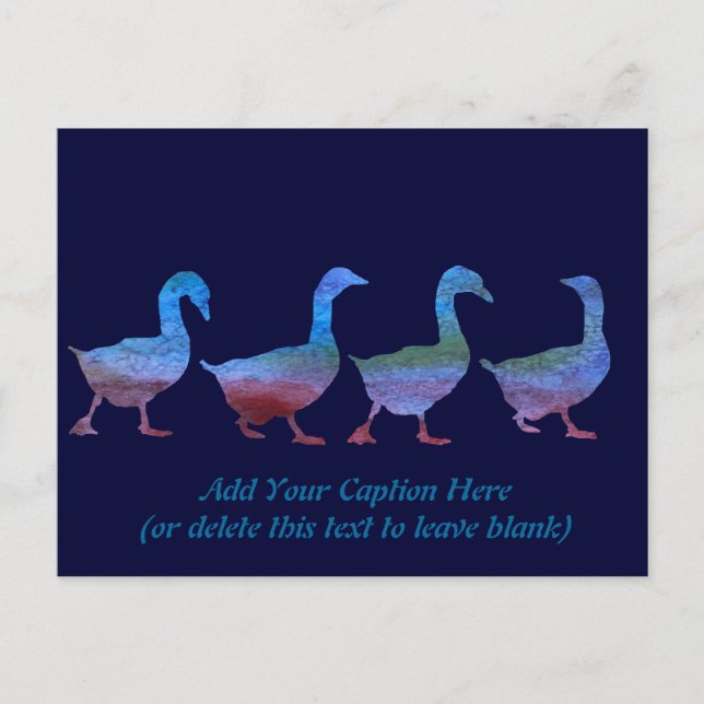 Colorwashed Geese Postcard (Front)