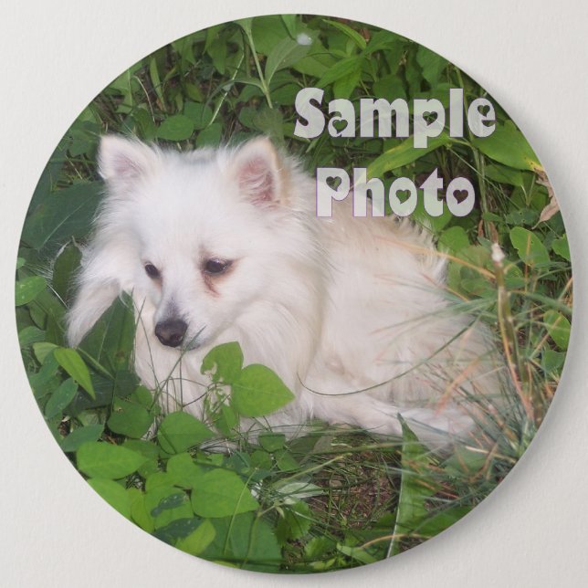 COLOSSAL 6 inch Pet Photo Button Pin (Front)