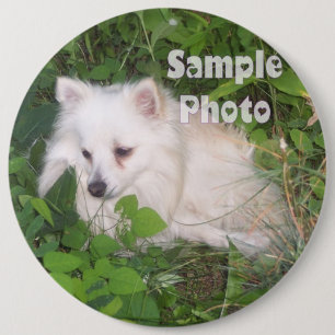 COLOSSAL 6 inch Pet Photo Button Pin