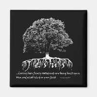 Colossians 2:7 Rooted in Jesus
