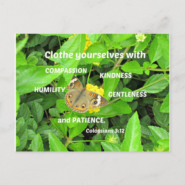 Colossians 3:12 Clothe yourselves with compassion Postcard (Front)