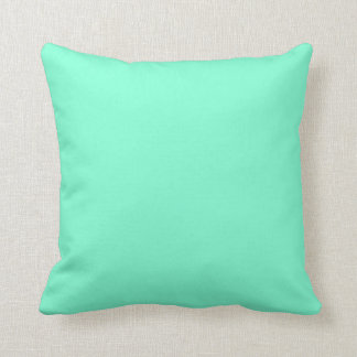 colour aquamarine throw pillow