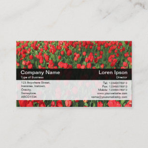 Colour Band - Black - Bed of Red Tulips 02 Business Card