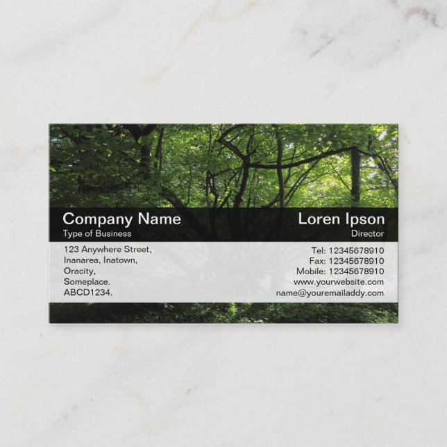 Colour Band - Black - Trees by a River Business Card (Front)