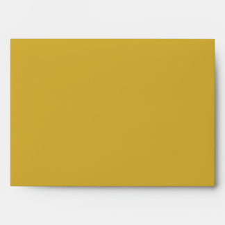 Colour Block Gold Envelope Lined in Black