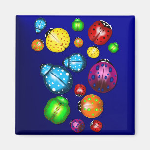 Colour Bug Pillow Magnet