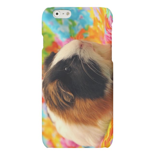 Colour Burst Guinea Pig Cell Phone Case (Back)