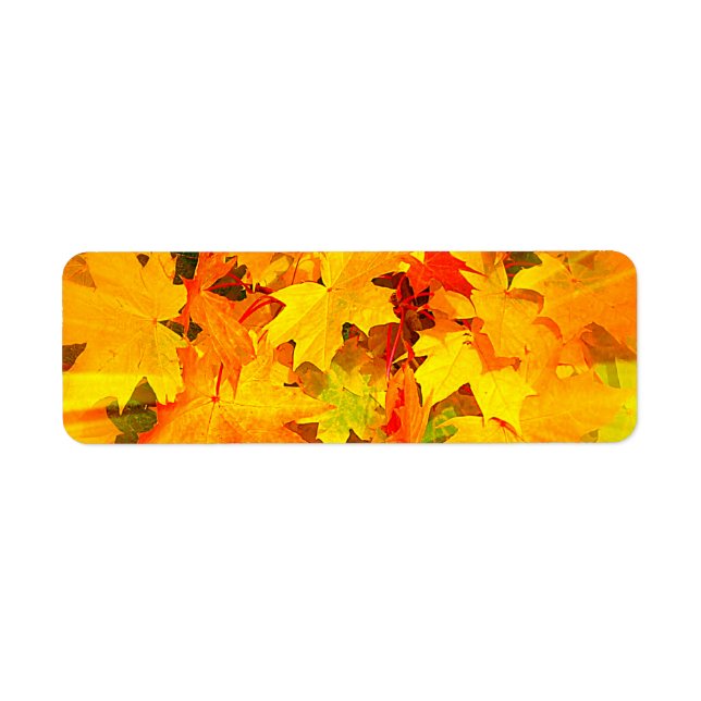 Colour Burst of Fall Leaves Autumn Colours (Front)