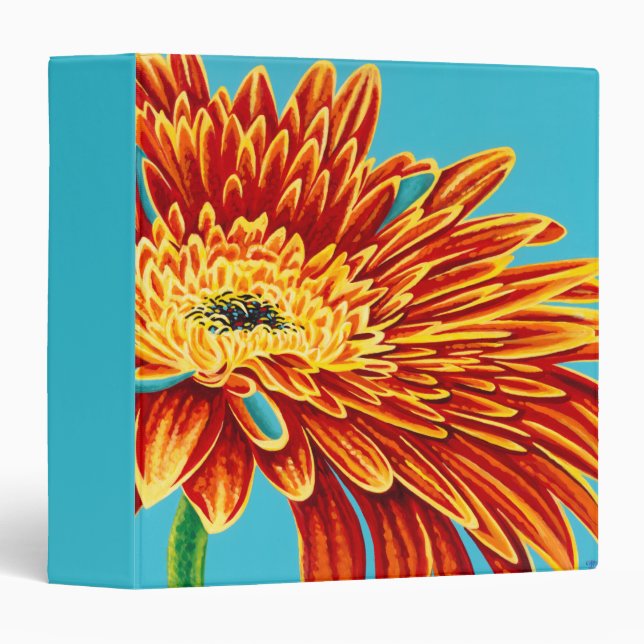 Colour Bursts I Binder (Front/Spine)