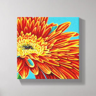 Colour Bursts I Canvas Print
