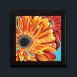 Colour Bursts II Gift Box<br><div class="desc">Floral</div>