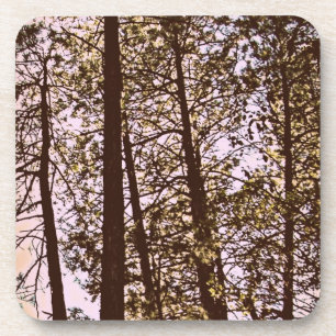 colour by the trees coaster