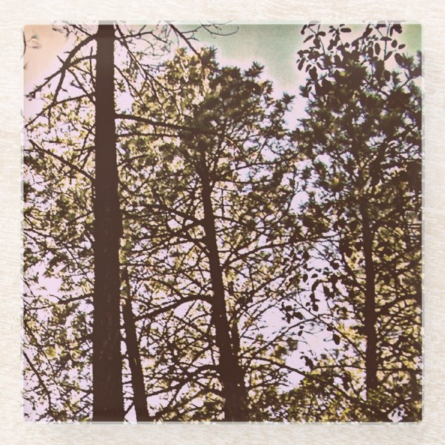 Colour by the trees glass coaster (Front)