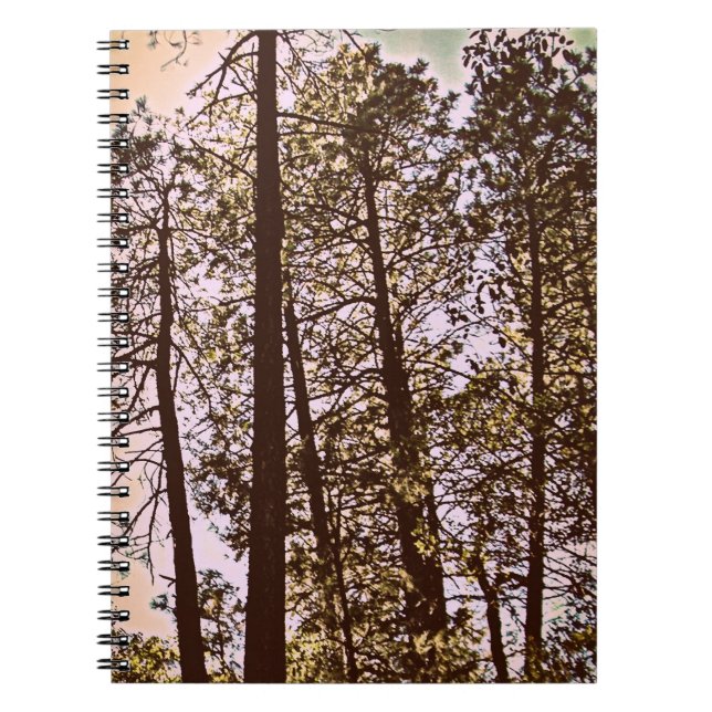 colour by the trees notebook (Front)