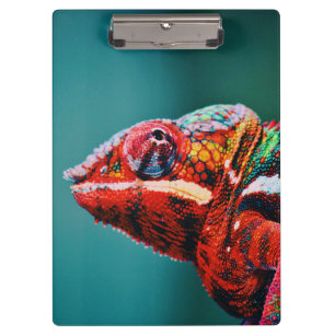 Colour Changing Rainbow Chameleon Reptile Clipboard