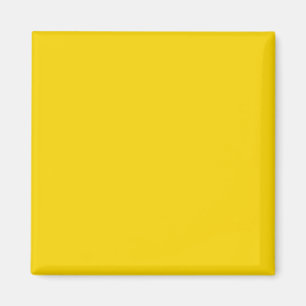 Colour Code It Visual Identifiers Adaptive Living Magnet
