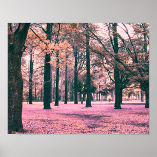Colour effected trees in Yoyogi Park in Tokyo. Poster