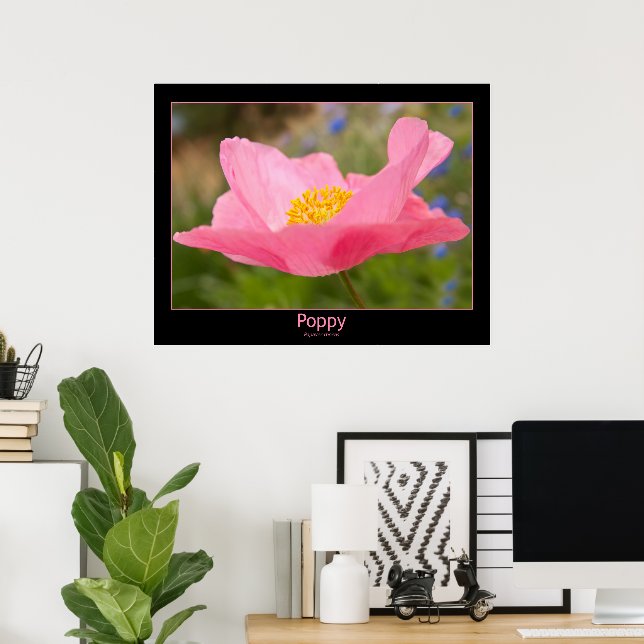 Colour Framed Pink Poppy Photograph Close-up Poster (Home Office)