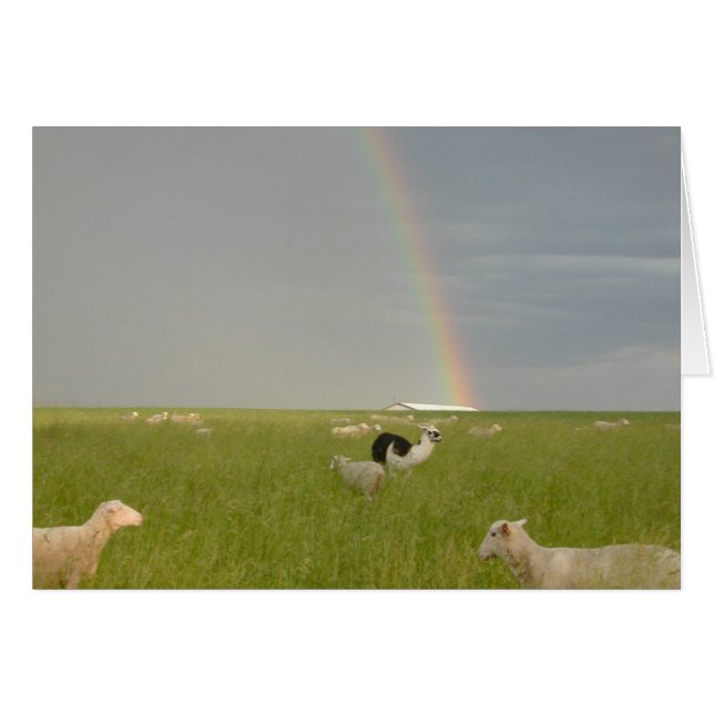 Colour Guard 2 card (Front Horizontal)