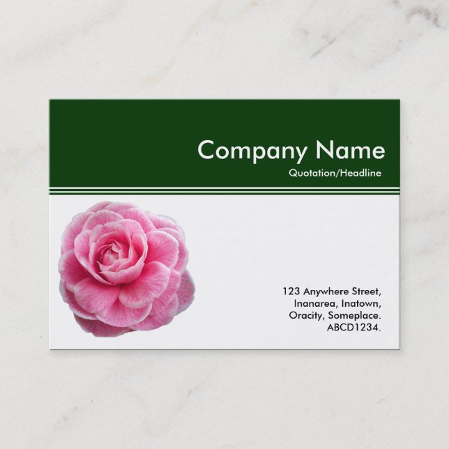 Colour Header III - Pink Camellia - Dark Green Business Card (Front)