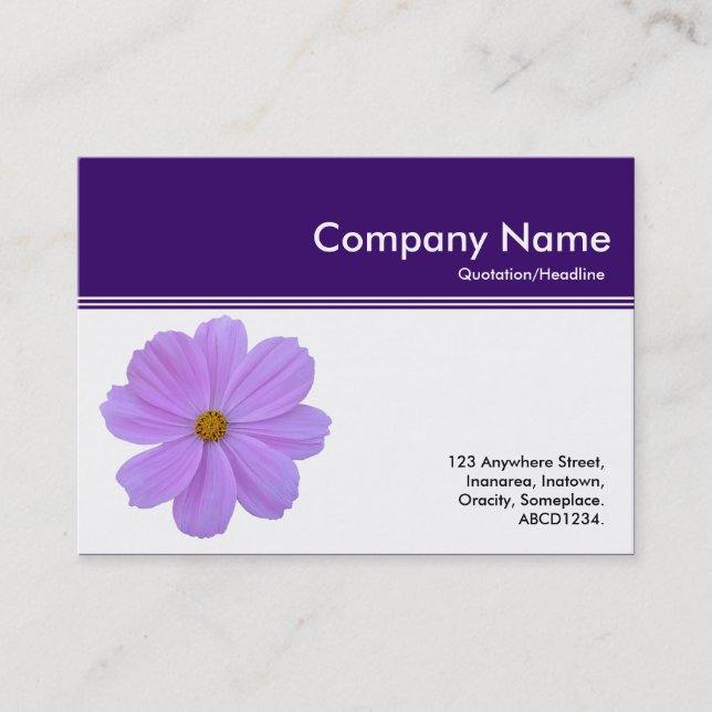 Colour Header III - Purple Cosmos - Deep Purple Business Card (Front)