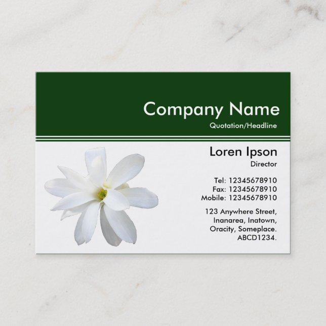 Colour Header III v2 - Dark Green - Magnolia Business Card (Front)