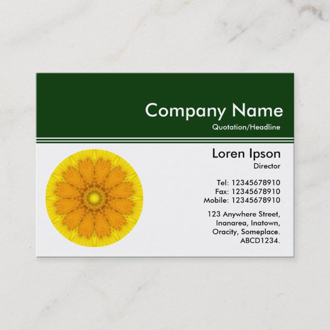 Colour Header III v2 - Dk Green - Kaliedoscope Business Card (Front)