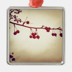 Colour in a dreary winter day metal ornament